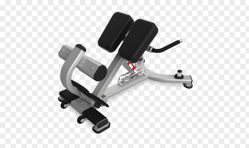 Lemond Hyperextension Bench Exercise Equipment Fitness Centre Physical PNG