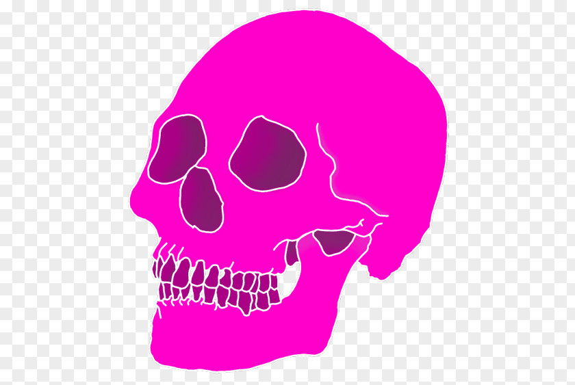 Skull Clip Art Aesthetics II Image PNG