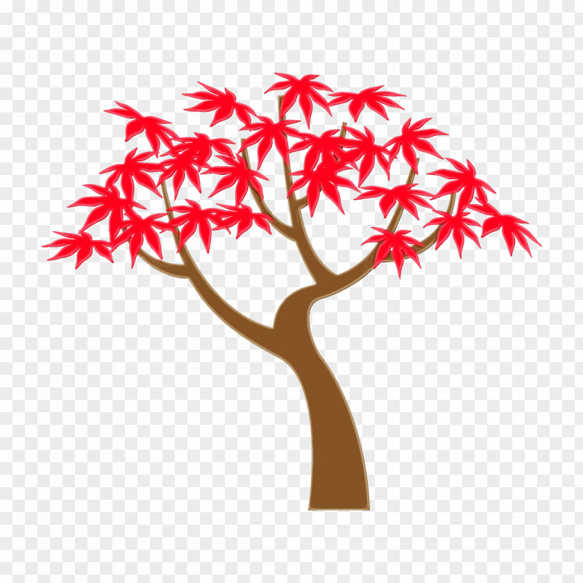 Twig Black Maple Tree Leaf Red Woody Plant PNG
