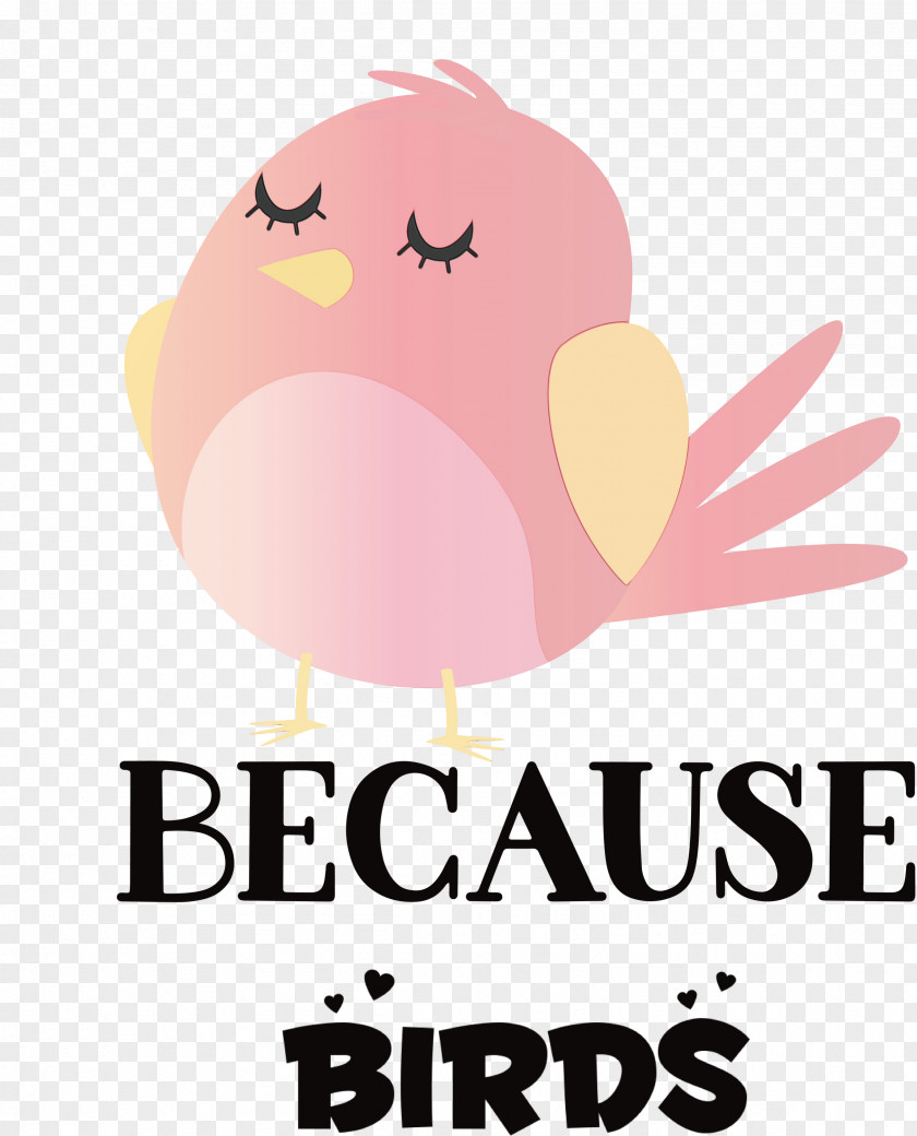 Birds Logo Bird Of Prey Cartoon Beak PNG