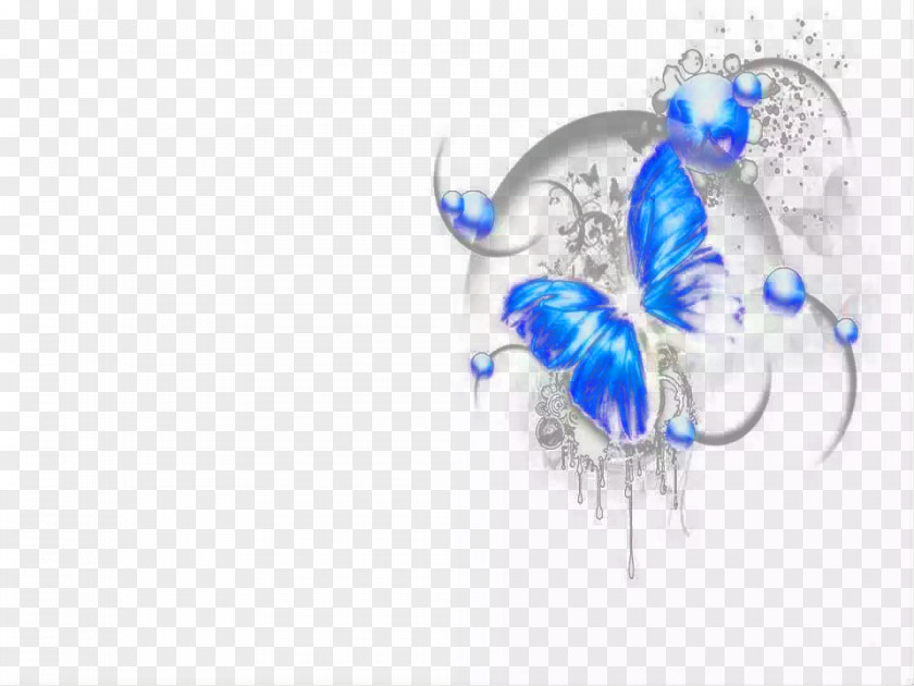 Halo In The Blue Butterfly Graphic Design Download PNG