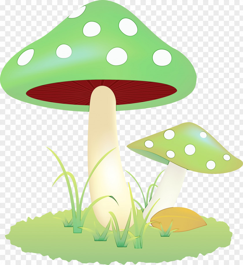 Mushroom Green Pattern PNG