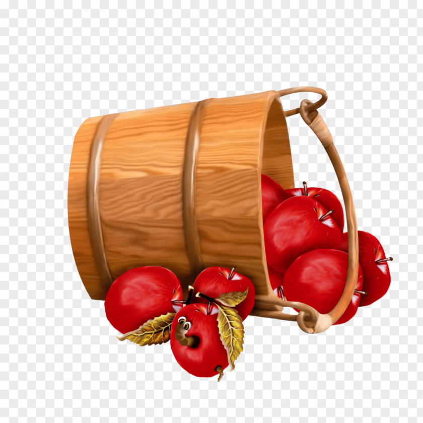 Persimmon Apple Dumpling Candy Clip Art PNG