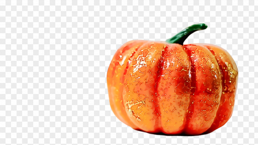 Plant Fruit Pumpkin PNG
