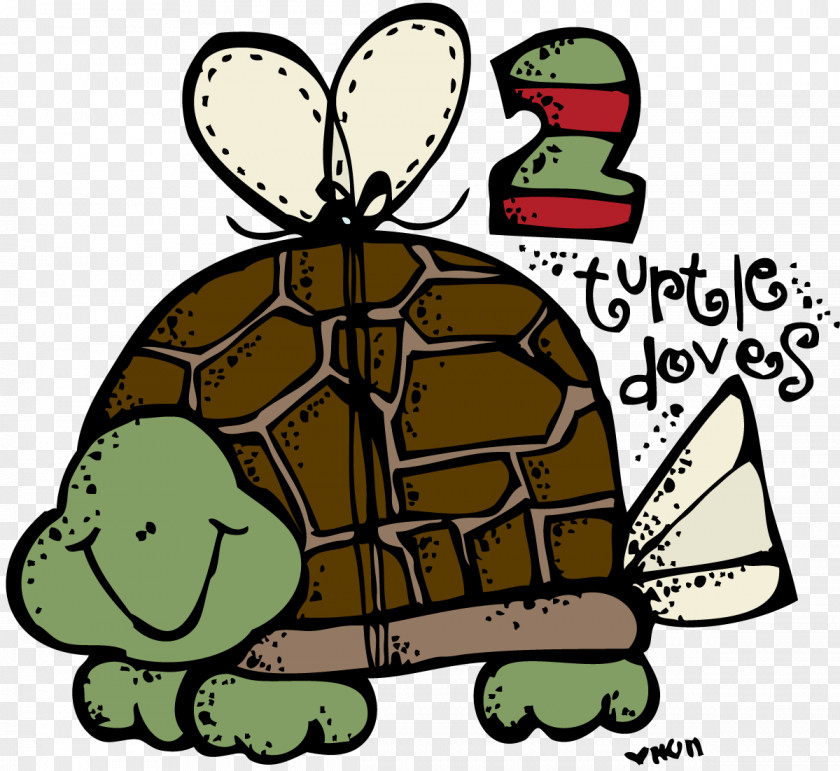 Turtle Dove Tortoise Cartoon Food Clip Art PNG