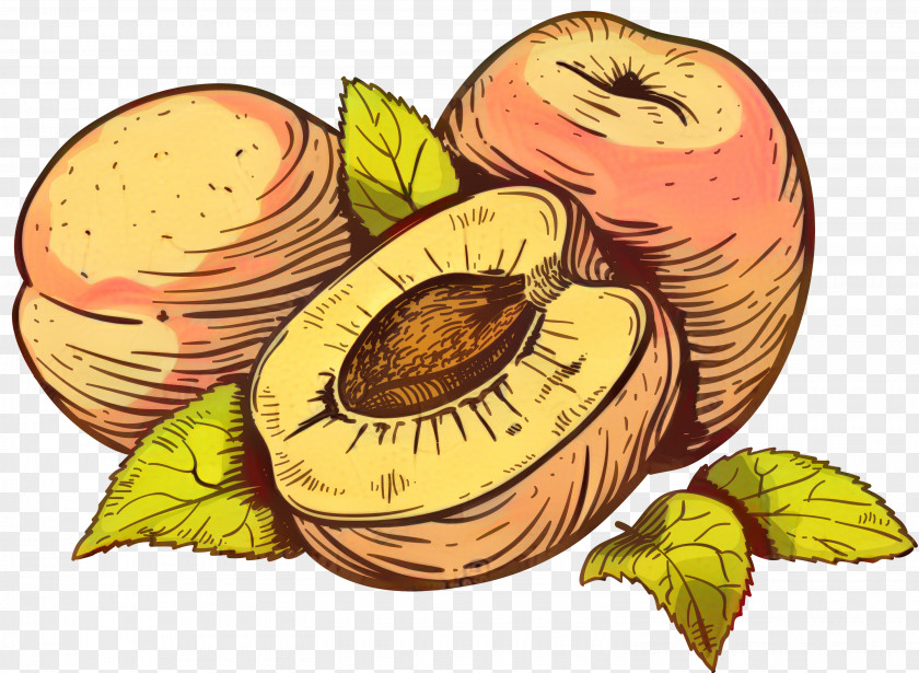 Vector Graphics Clip Art Food Illustration Peach PNG