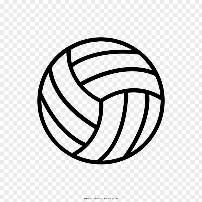 Volleyball Sport PNG