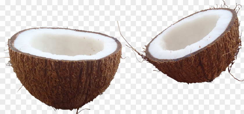 Coconut Image Water Clip Art PNG