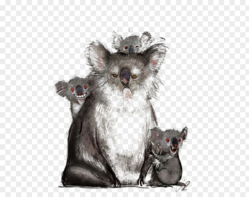 Koala Drawing Website Illustration PNG