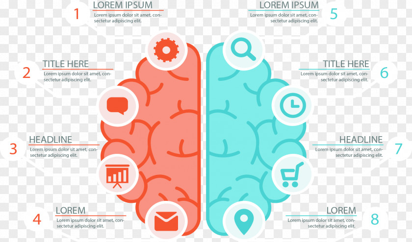 Left And Right Brain Chart Infographic Icon PNG