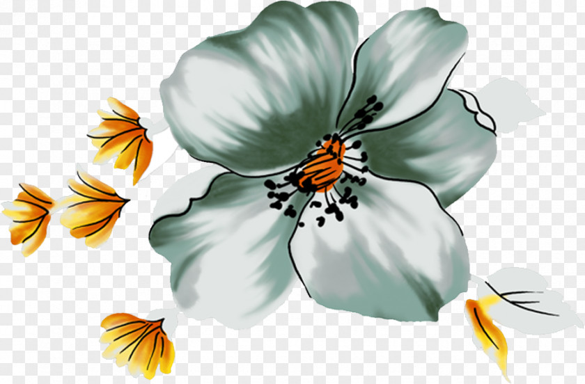 Lily Flower Jasmine Computer File PNG