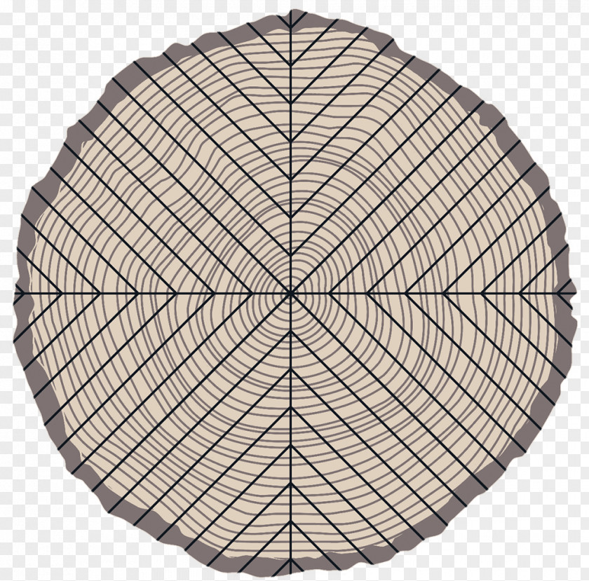 Quarter Sawing Protractor Compass Degree NW Cyber Camp Mathematics PNG