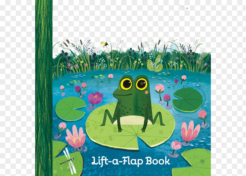 Squatting Lotus Leaf Frog Little Green Red Barn Blue Boat Amazon.com PNG