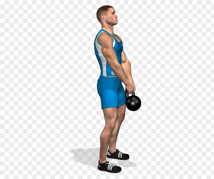 Barbell Kettlebell Latissimus Dorsi Muscle Physical Fitness PNG