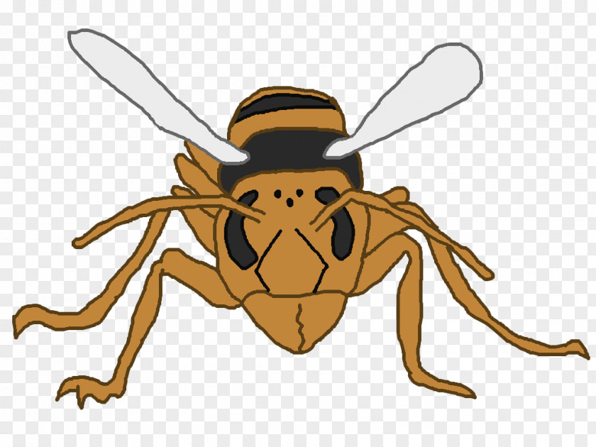Chalk Draw Honey Bee Hornet Fan Art DeviantArt PNG