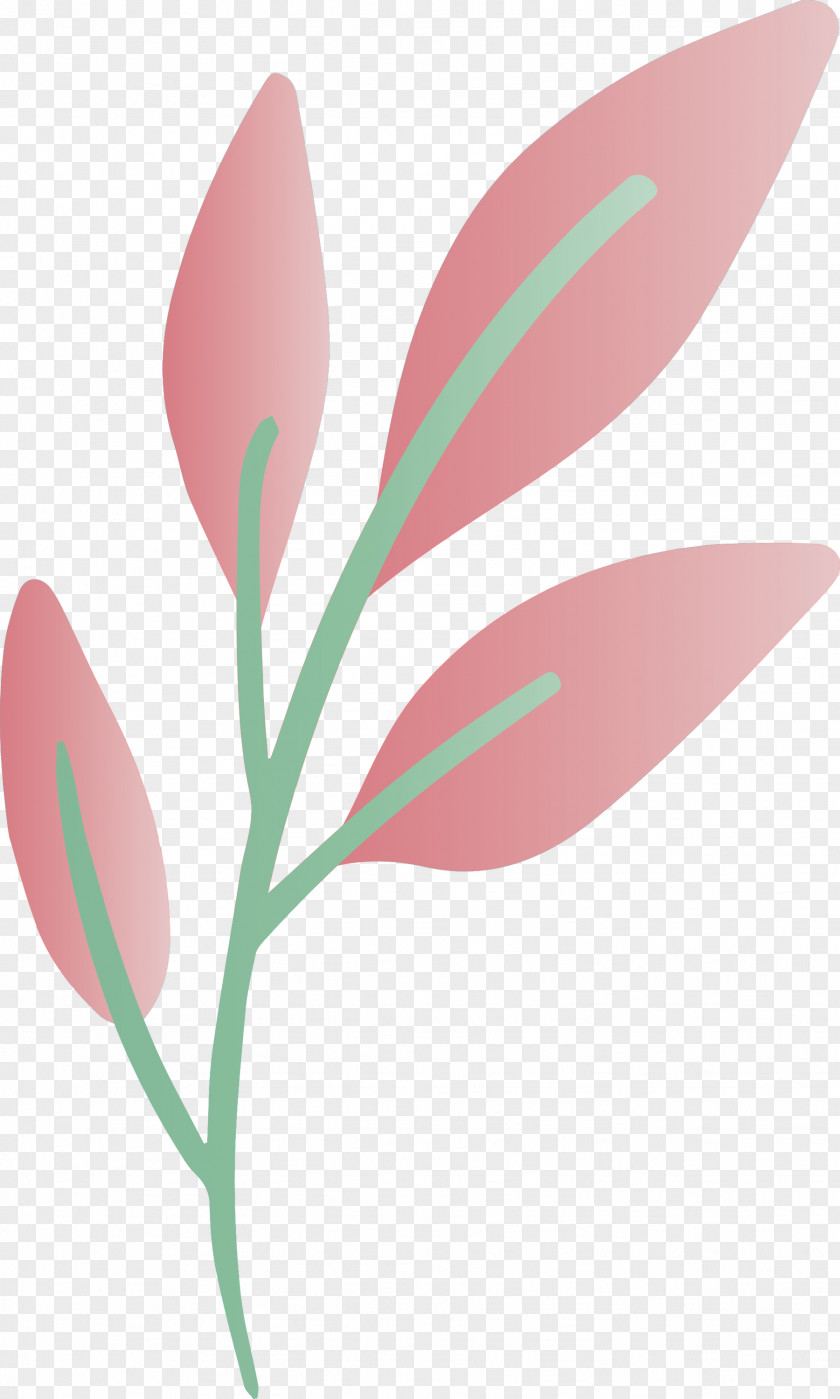 Flower Plant Leaf Pedicel Pink PNG