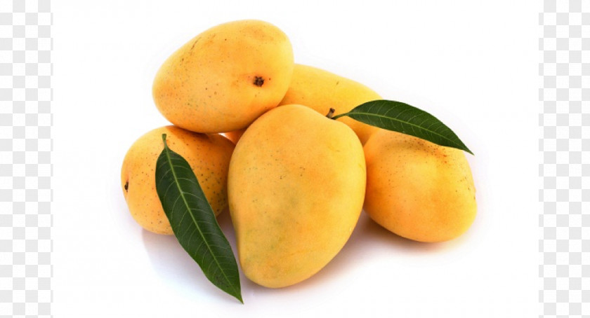 Mango Gir Kesar Alphonso Saffron Girnar PNG