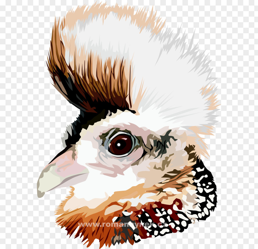 Owl Clip Art Illustration Beak Carnivores PNG