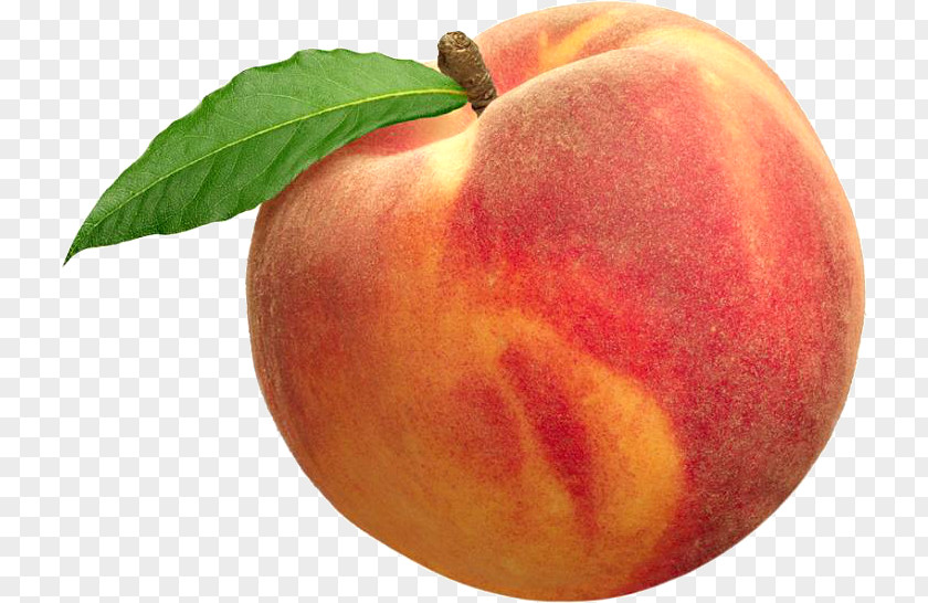 Peach Fruit Palisade Nectarine Drupe Apricot PNG
