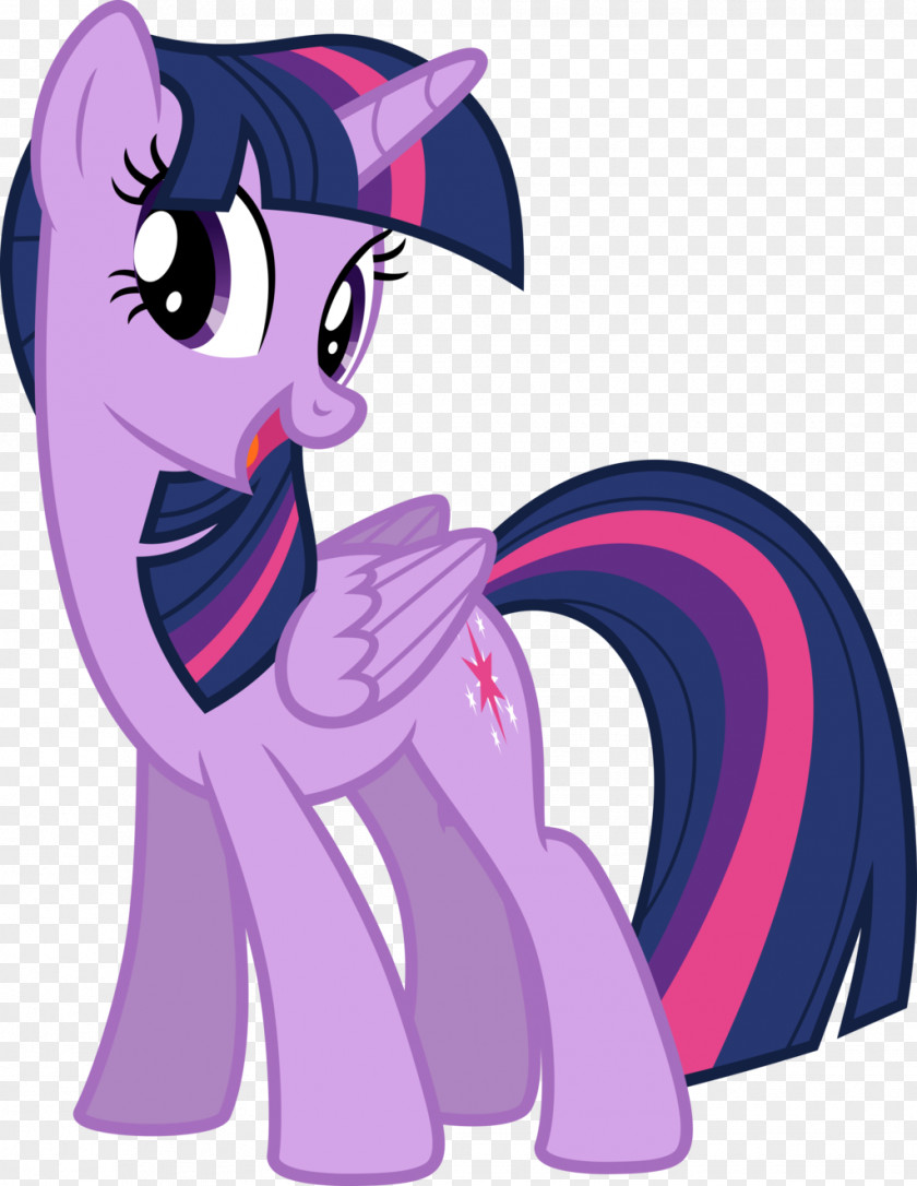 Sparkle Twilight Derpy Hooves My Little Pony DeviantArt PNG