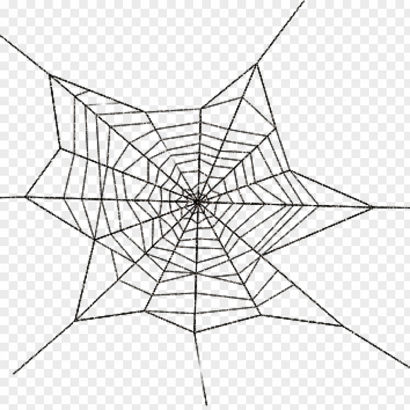 Spider Web Clip Art Image PNG