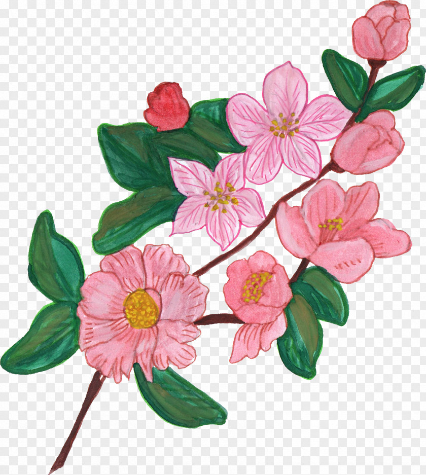 Watercolor Flowers Flower Floral Design Microsoft Paint Ornament PNG