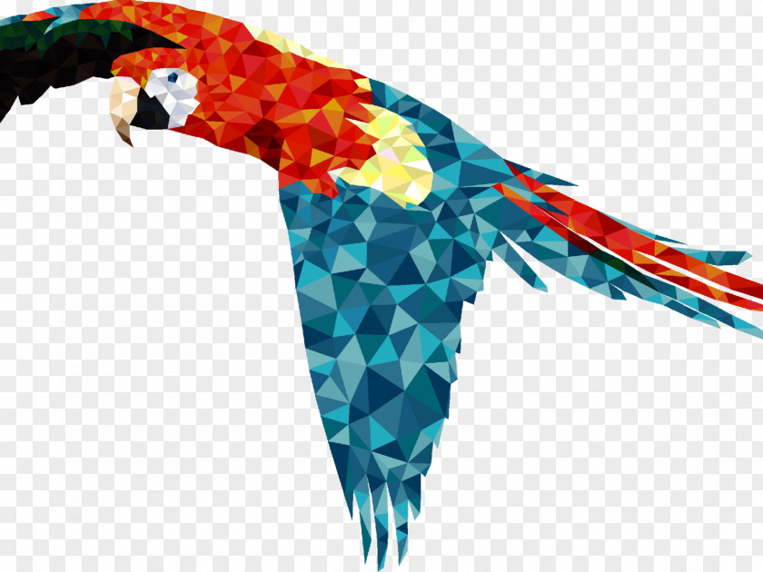 Wing Animal Bird Parrot PNG