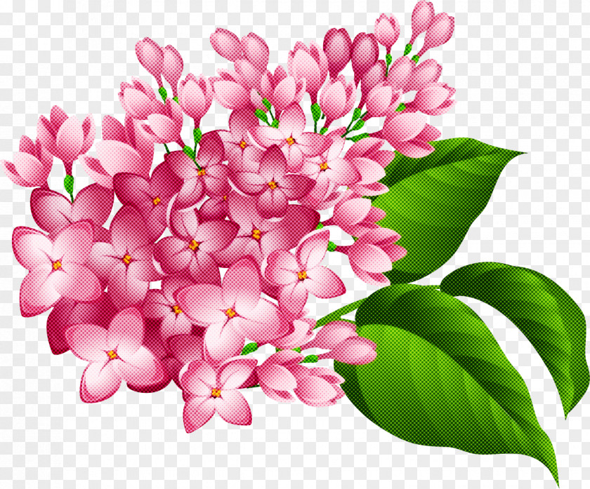 Flower Pink Petal Lilac Plant PNG
