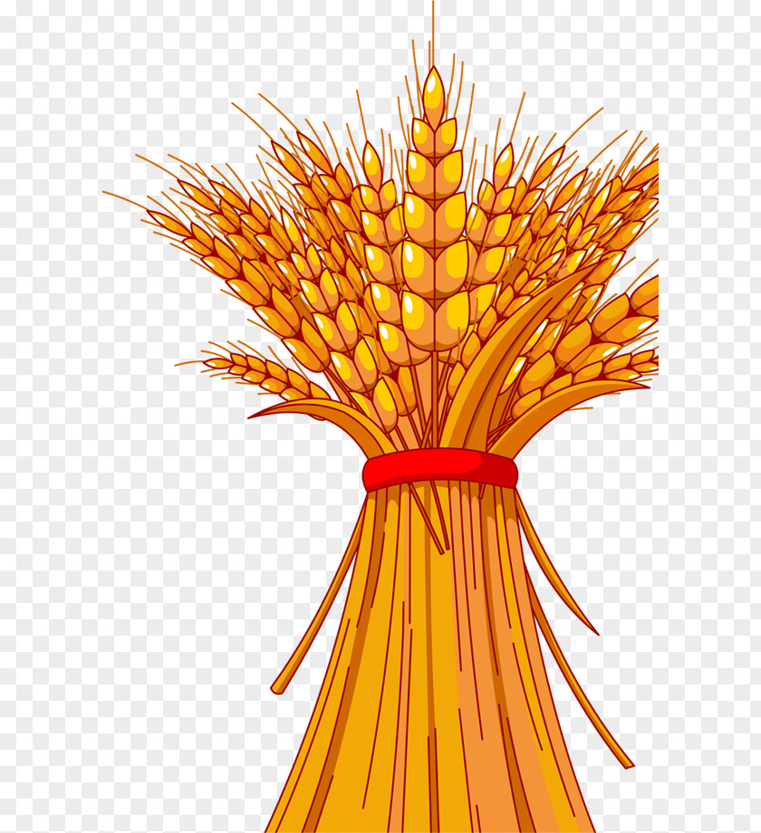 Gold Wheat Harvest Material Festival Autumn Royalty-free Clip Art PNG