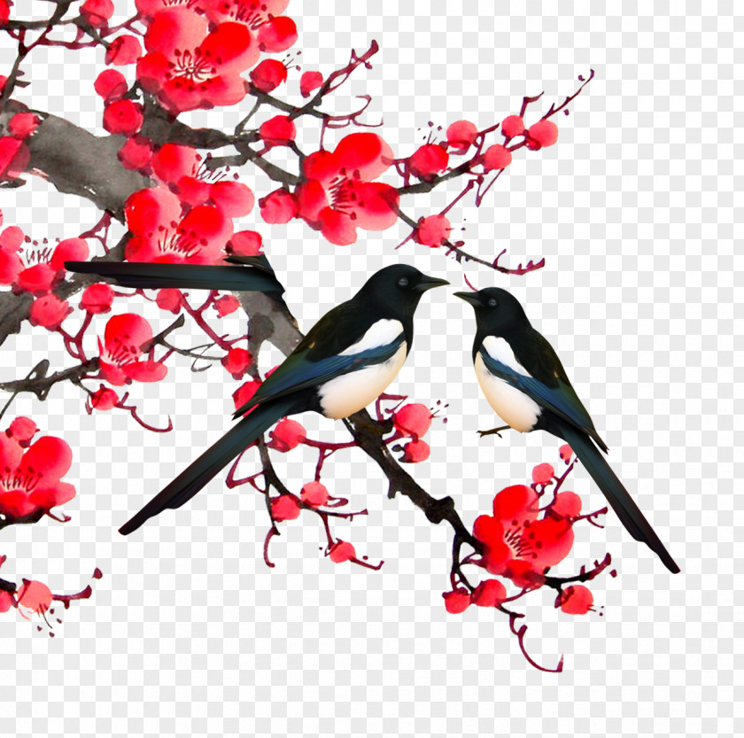Magpie Apricot Bird-and-flower Painting PNG