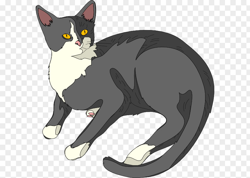 Paw Oriental Longhair Kitten Cartoon PNG