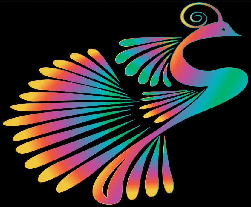Peacock Peafowl Color Bird Clip Art PNG