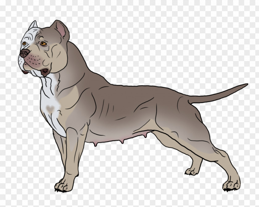 Pitbull American Pit Bull Terrier Bulldog Staffordshire Old English PNG