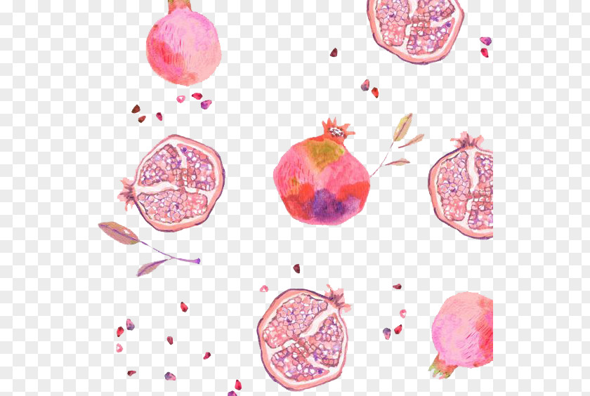 Pomegranate Decorative Background Material Fruit Printmaking Painting Illustration PNG