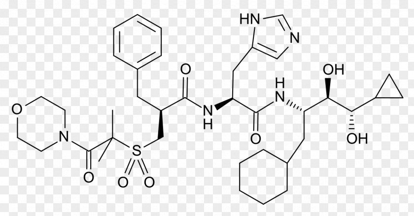 Renin Inhibitor Strecker Amino Acid Synthesis Amine Aldehyde PNG