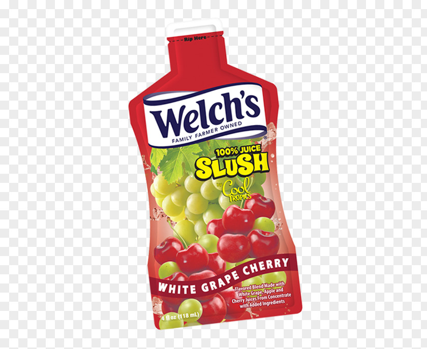 Slush Beverage Juice Puppie Concord Grape Welch's PNG