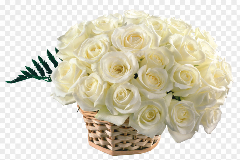 White Rose Desktop Wallpaper Flower Bouquet Gift PNG