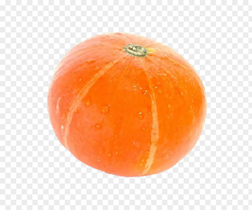 A Pumpkin Clementine Calabaza Blood Orange Gourd Winter Squash PNG