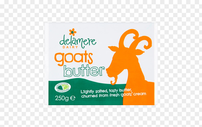 Milk Goat Cheese PNG