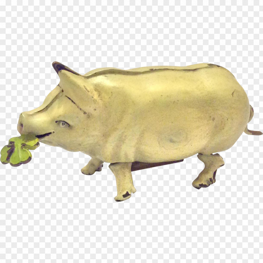 Pig Cattle Snout Figurine Mammal PNG