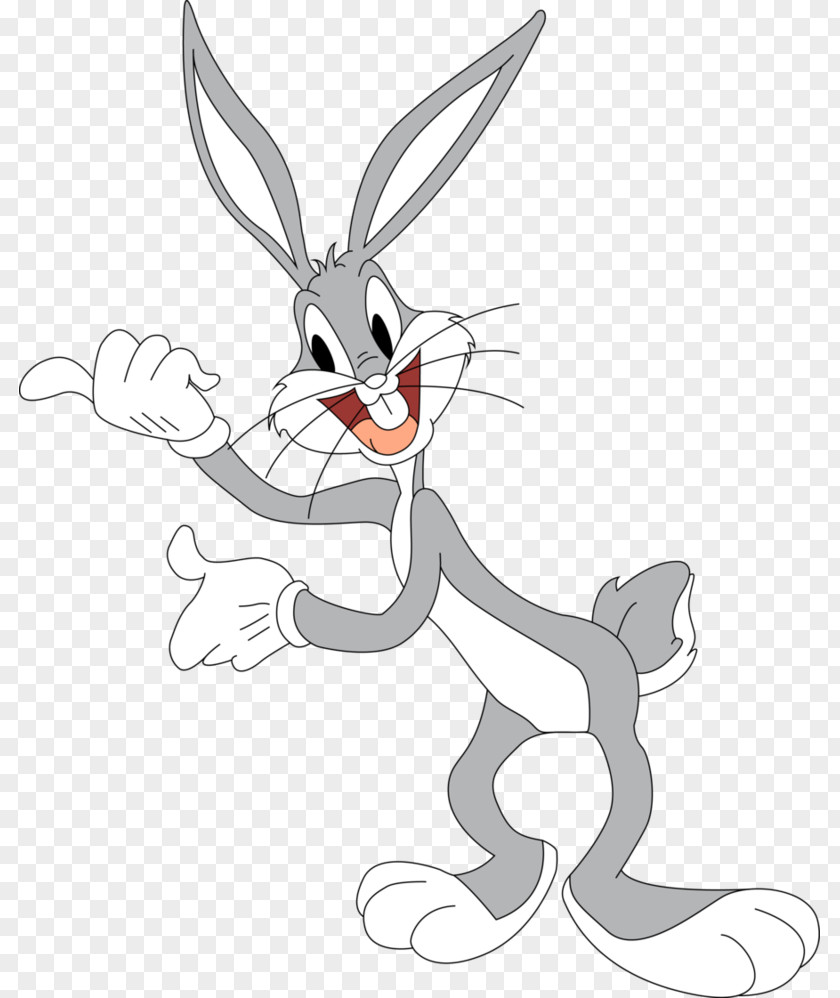 Bugs Bunny Elmer Fudd Cartoon Drawing Looney Tunes PNG