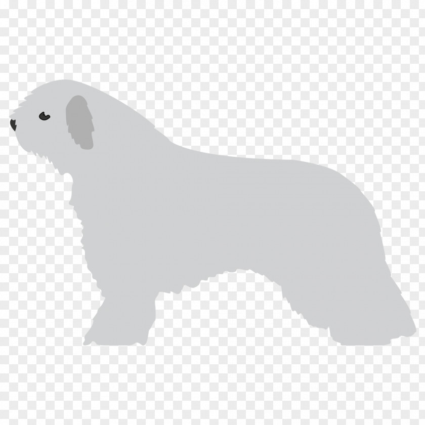 Dog Breed Non-sporting Group Bear (dog) PNG