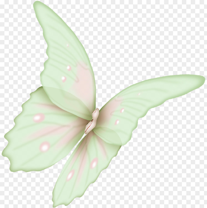 Flying Butterfly Flight Wing Icon PNG