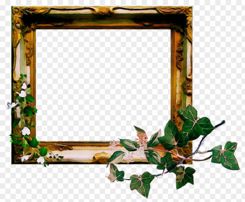 Picture Frames Image Ornament Clip Art PNG