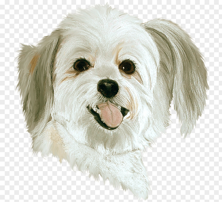Tube Dog Pet Sitting PaintShop Pro Clip Art PNG