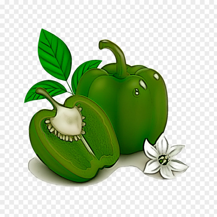 Bell Pepper Green Capsicum Natural Foods Vegetable PNG
