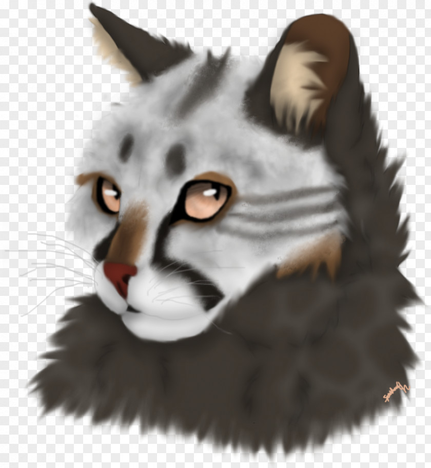 Cat Whiskers Tiger Snout Fur PNG