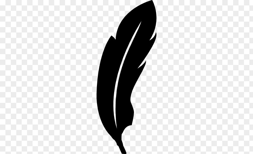 Feathers Vector Bird Feather Shape PNG