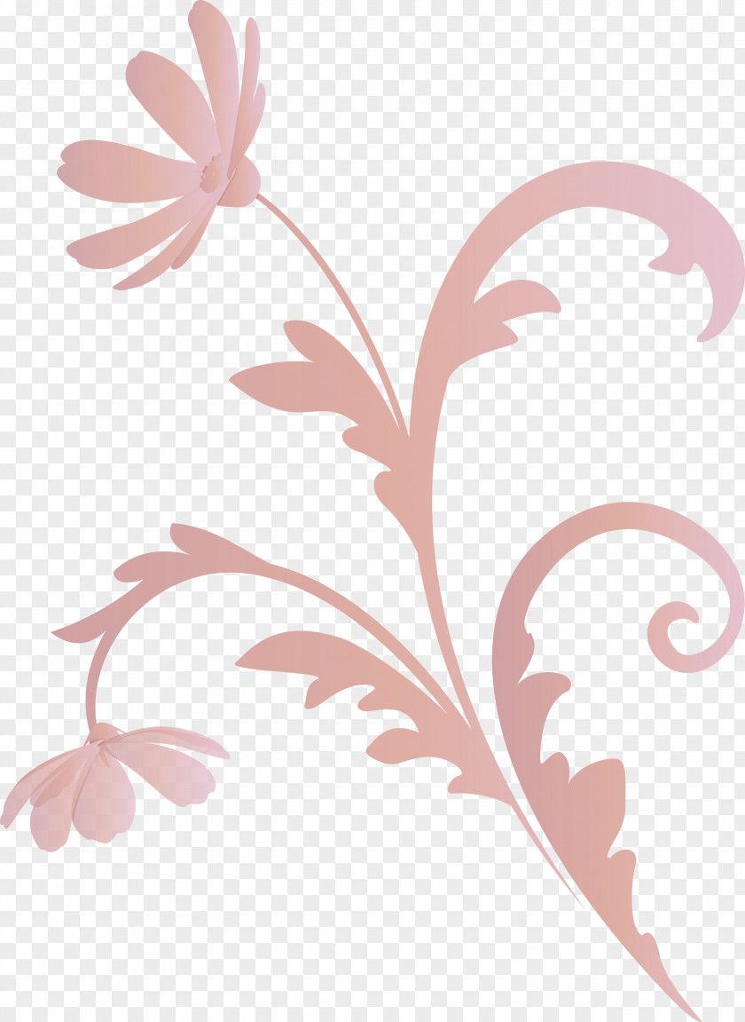 Flower Frame Floral PNG