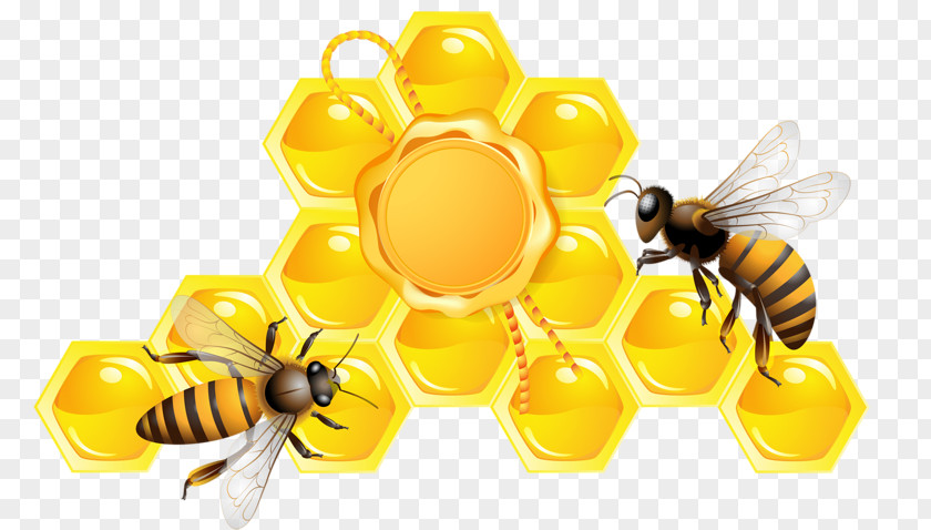 Golden Honey Bee Beehive PNG